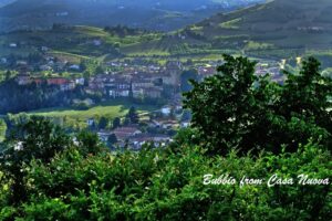 02-DSCF2536 (1)