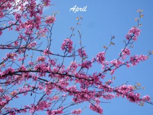 03-DSCF1310