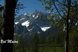 04-DSC_0011