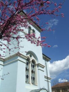 06-DSCF1309