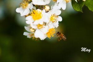 06-DSC_0391