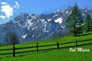 08-DSCF2544 (1)