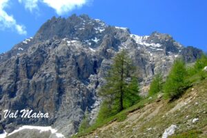 11-DSCF2564