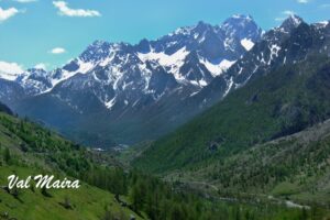 12-DSCF2570 (1)