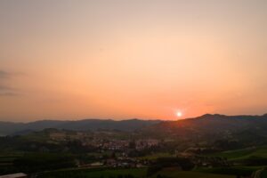 _DSC6557a (1)