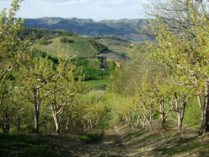 DSCF1370