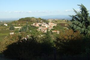 DSCF2921