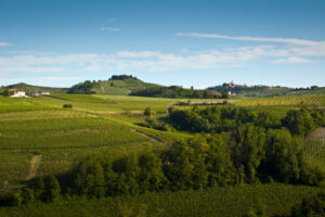 View from Fontanile