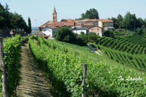 In Langhe