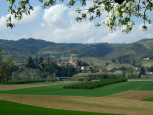DSCF1366